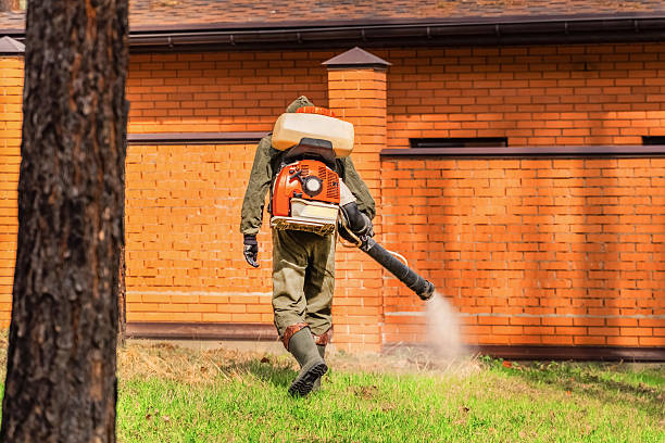 Top rated local Wasp Removal specialists in South Charleston, WV